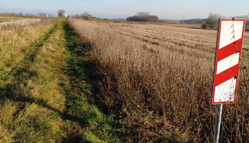 Obrazy - przejazd kolejowy