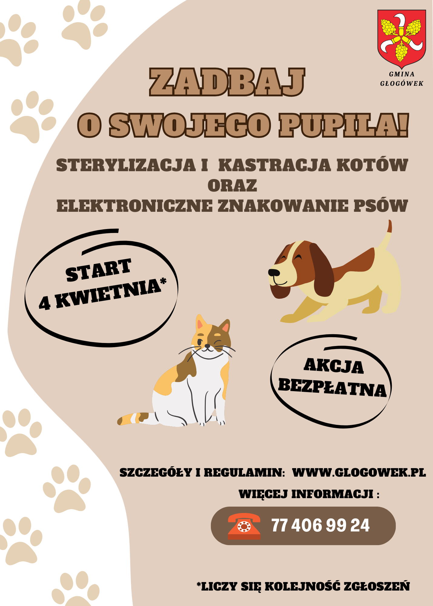 Obraz:
